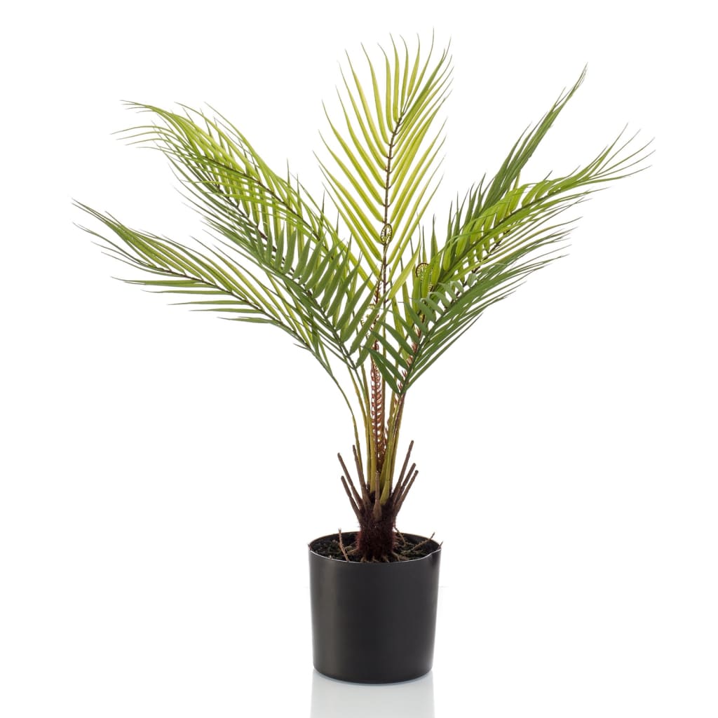 EMAAARD Smaragd Art Planz an Dëppe Chamaeeda Palm 50 cm
