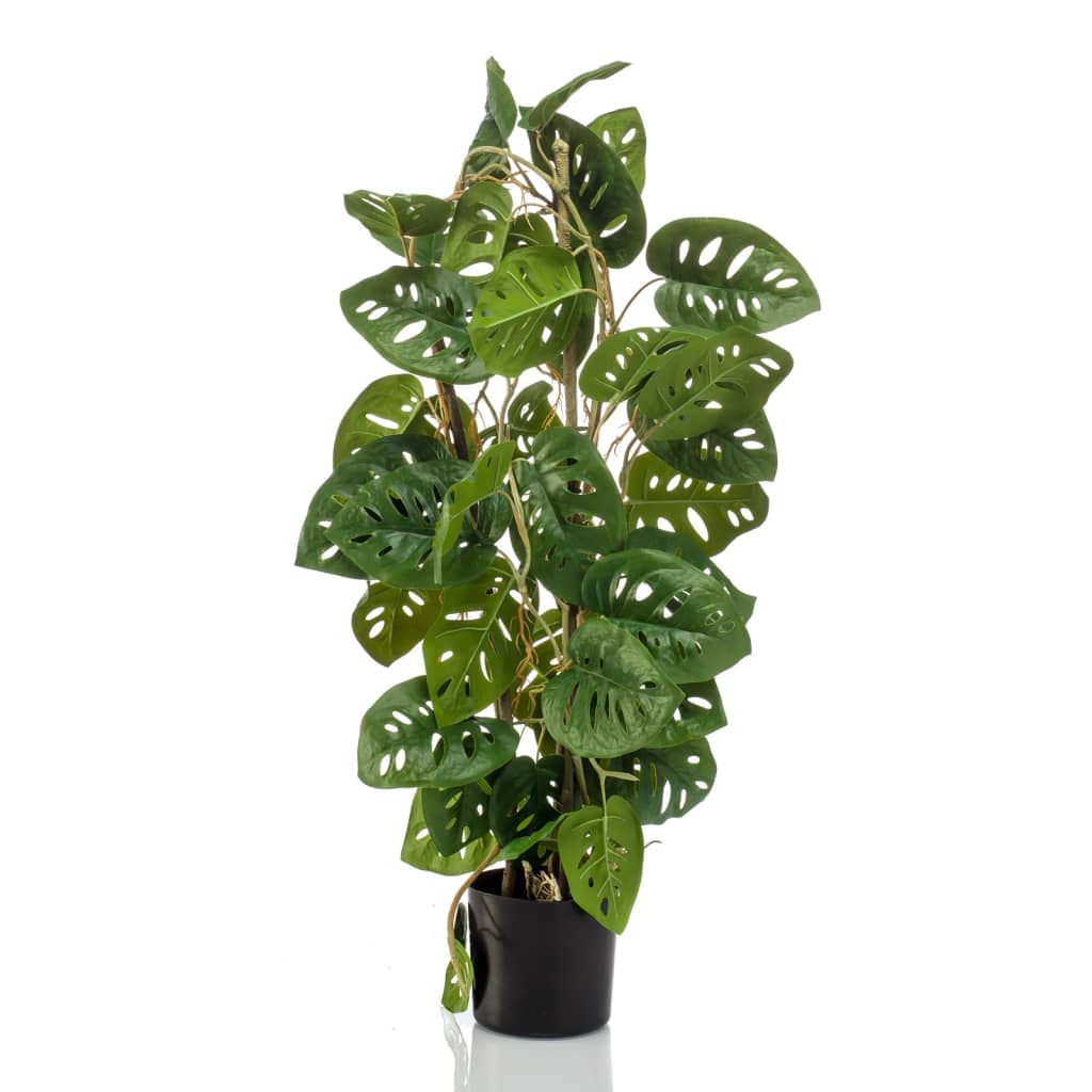 Emerald Emerald Art Rostlina v Pot Monkey Monstera 75 cm