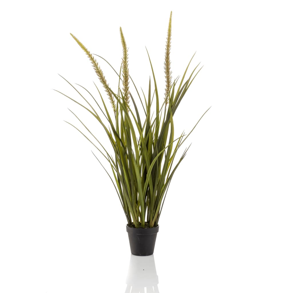 Emoragd Smaragd Art Planz an Pot Vessensartetgraen 90 cm