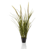 Emoragd Smaragd Art Planz an Pot Vessensartetgraen 90 cm