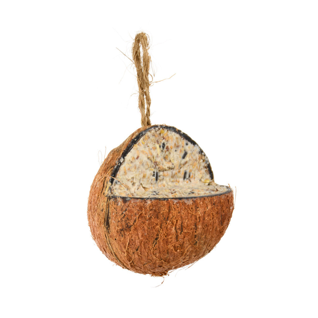 Melhor para os pássaros coco cheio de gordura