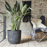 Capi Flowerpot Nature Row 54x52 cm Anthrazit WFD935