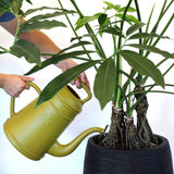 Capi watering can xala lungo 12 l curry
