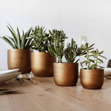 Capi 4-teiliger Blumentopf Set Lux Retro Goldfarbe