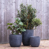 Capi Planilni rebro 43x41 cm siva