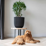 Capi Planter Groove 35x34 cm črn