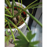 Capi Planter Groove 35x34 cm slonovine