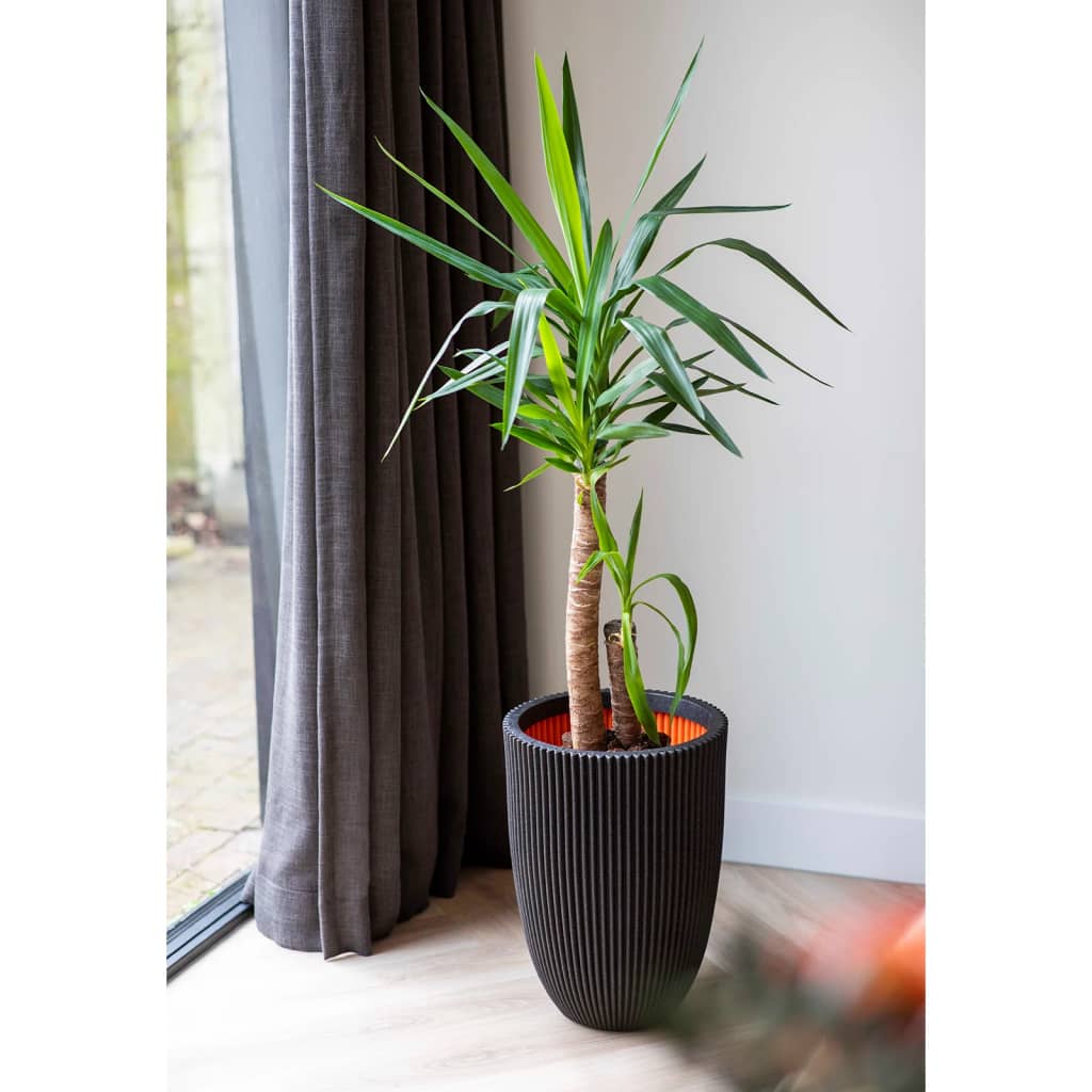 Capi blomstrende rille elegant 34x46 cm sort