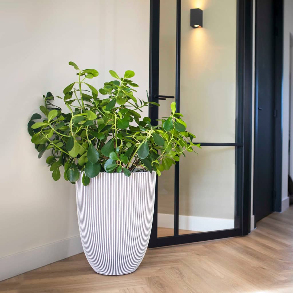 Capi Flowerpot Groove Elegant 46x58 cm Elfenbeinkol.