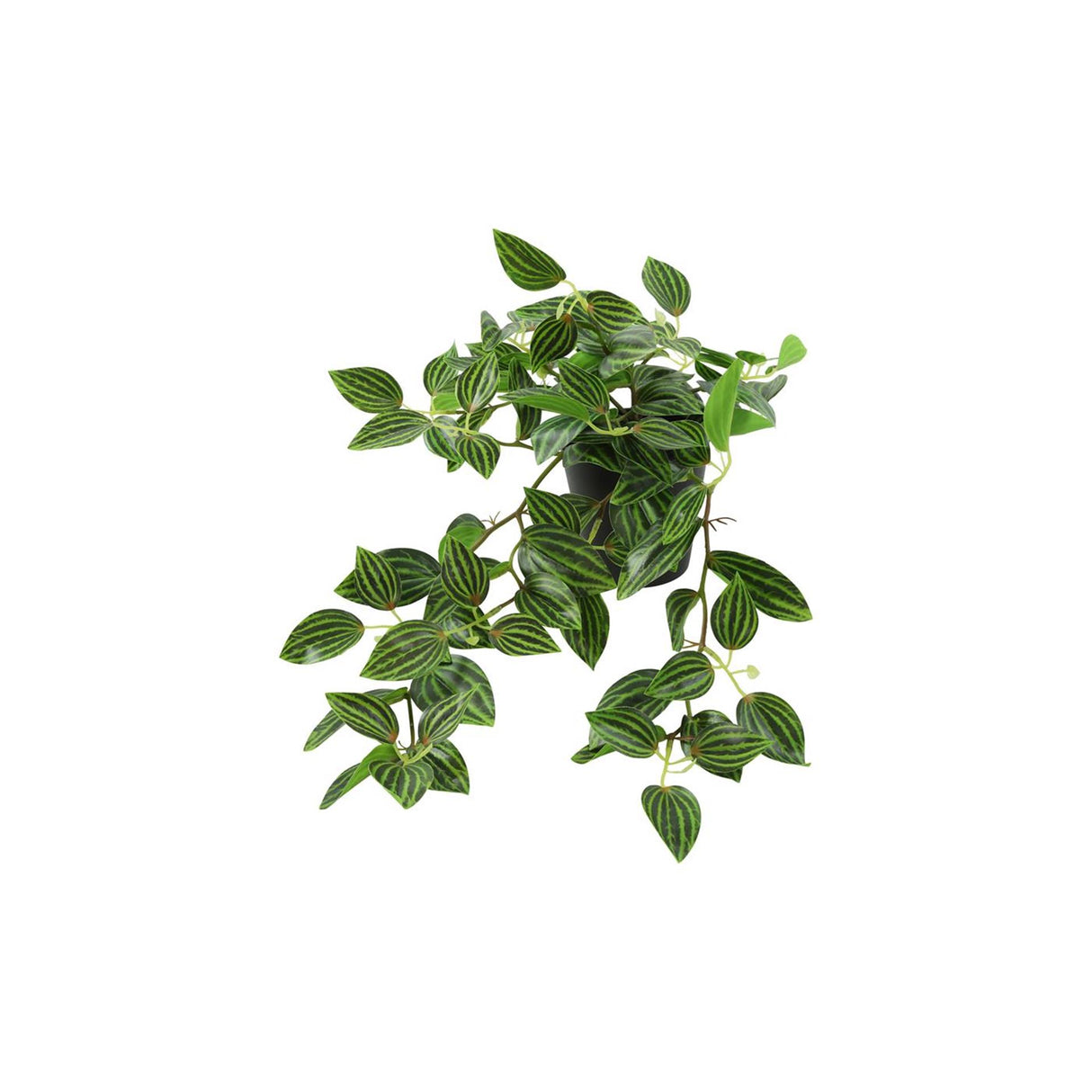 Countryfield kunstplant steker hang peperomia groen