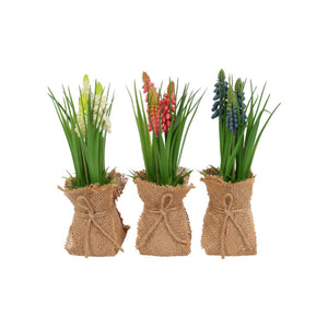 Vidéki művirág cserépben muscari h20cm