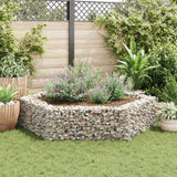 Vidaxl Gabion Planter Raised Hexagonal 200x173x40 cm