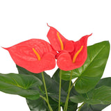 Vidaxl Konscht Anthriurium Planz mat Pot 45 cm rout a giel