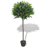 Vidaxl Art Laurier drevesne rastline z loncem 125 cm zeleno