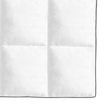 Vidaxl Bed de cubierta de invierno 240x220 cm Dons