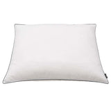 Vidaxl kussens 2 st zwaar 70x60 cm dons- verenvulling wit
