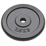Vidaxl Halter Discs 4 St 4x7,5 kg støbejern