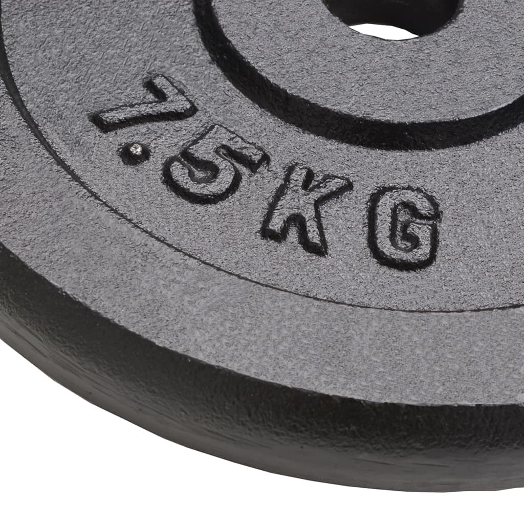 Vidaxl Halter Discs 4 St 4x7,5 kg støbejern