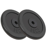 Vidaxl Halter discs 2 pcs 2x15 kg cast iron