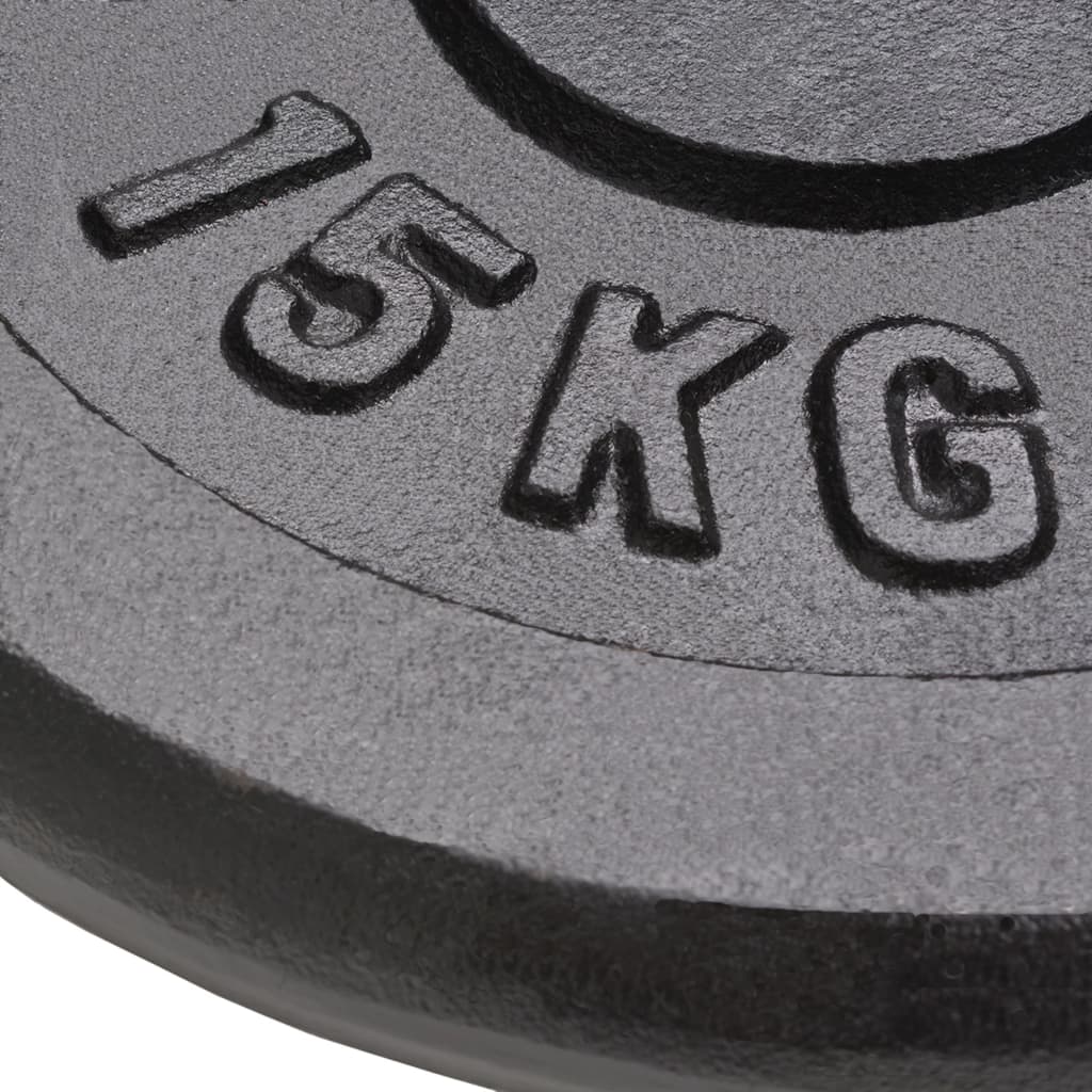 Vidaxl Halter discs 2 pcs 2x15 kg cast iron