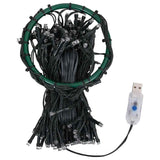 Vidaxl Christmas tree lighting with 180 LEDs Net 180 cm