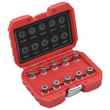 Vidaxl 10-piece Wielborgmoers keys set for BMW