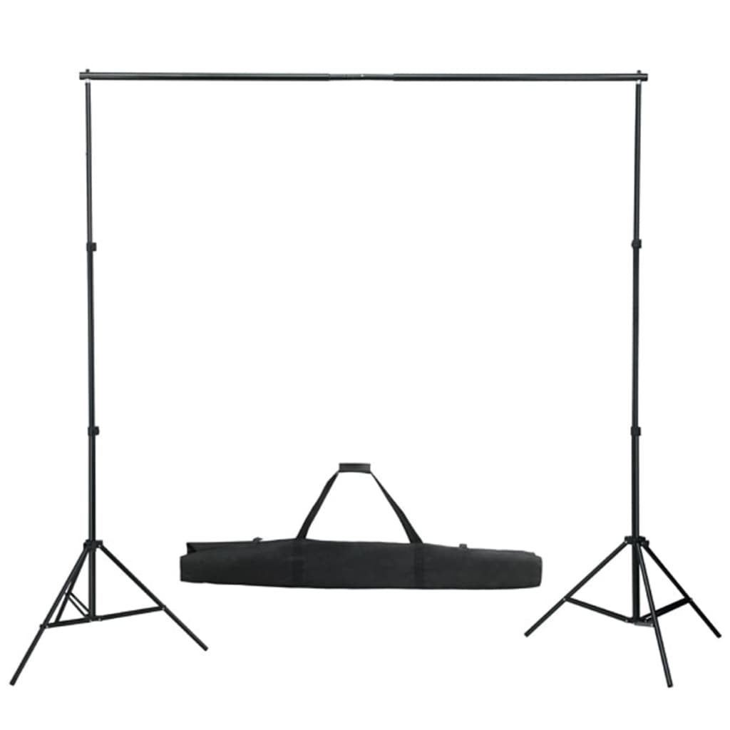 VidaXL Background System 600x300 cm black