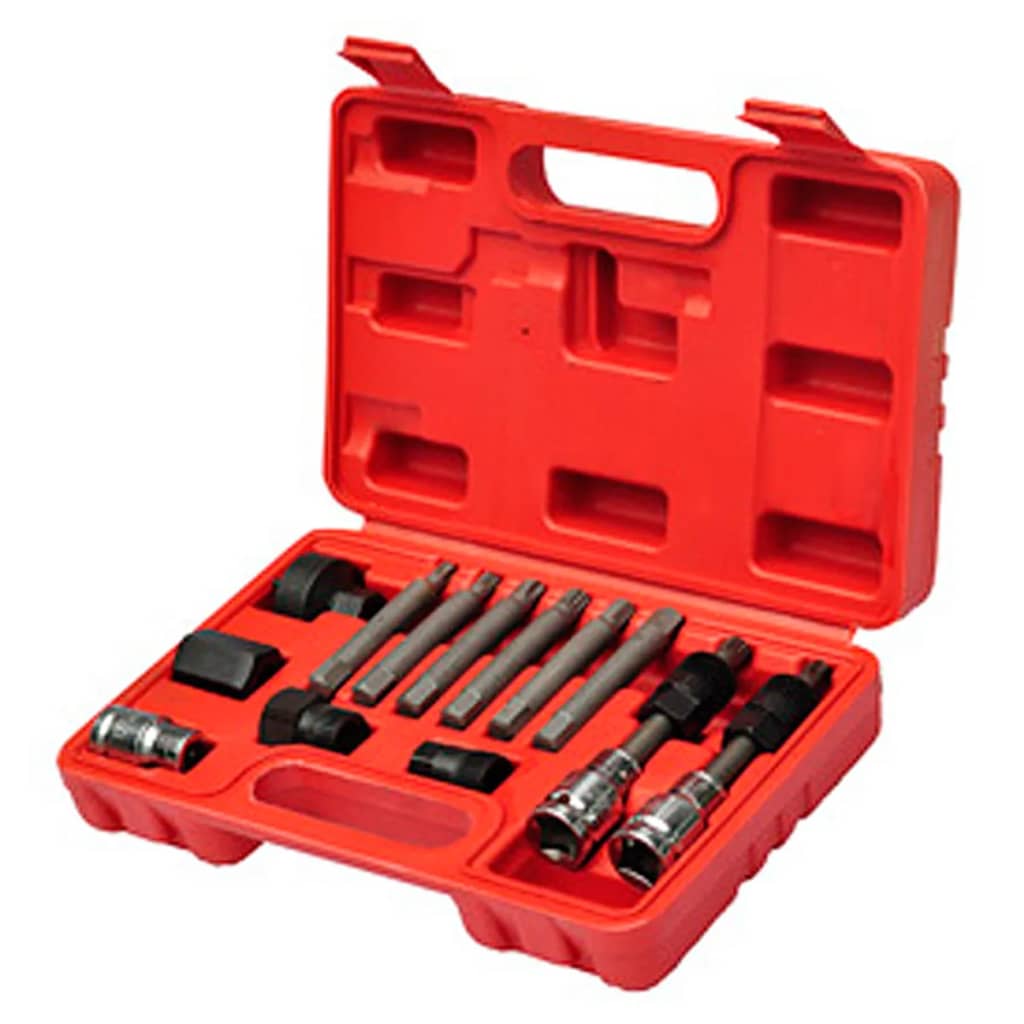 VidaXL Alternator Car Tools Set