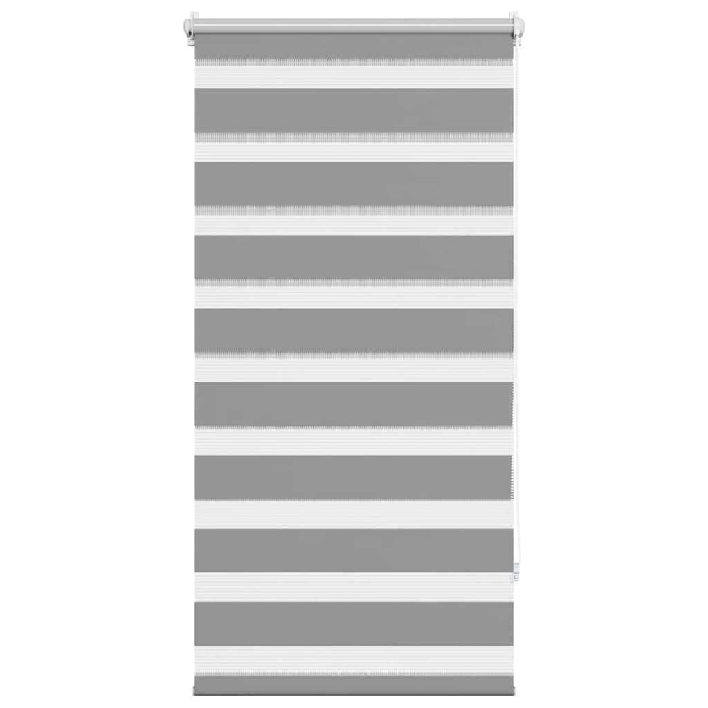 Vidaxl Duo Roller Blind 60x120 cm Gray