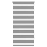 Vidaxl Duo Roller Blind 60x120 cm Gray