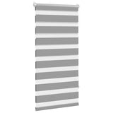 Vidaxl Duo Roller Blind 60x120 cm Gray