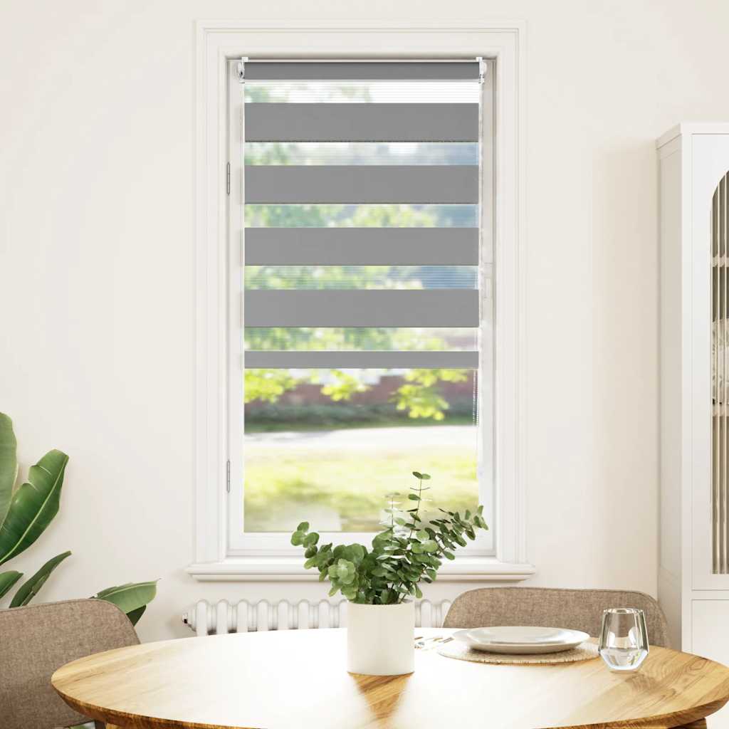 Vidaxl Duo Roller Blind 60x120 cm Gray