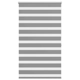 Vidaxl Duo Roller blind 100 x 175 cm Gray