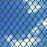 Vidaxl Mesh Fence con pali 1x15 m in acciaio verde