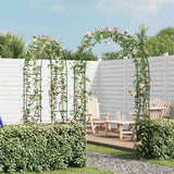VidaXL Garden arches 2 pcs