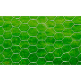 Vidaxl Poulet Fil 25x0,5 m Galvanisé en acier argent coloré