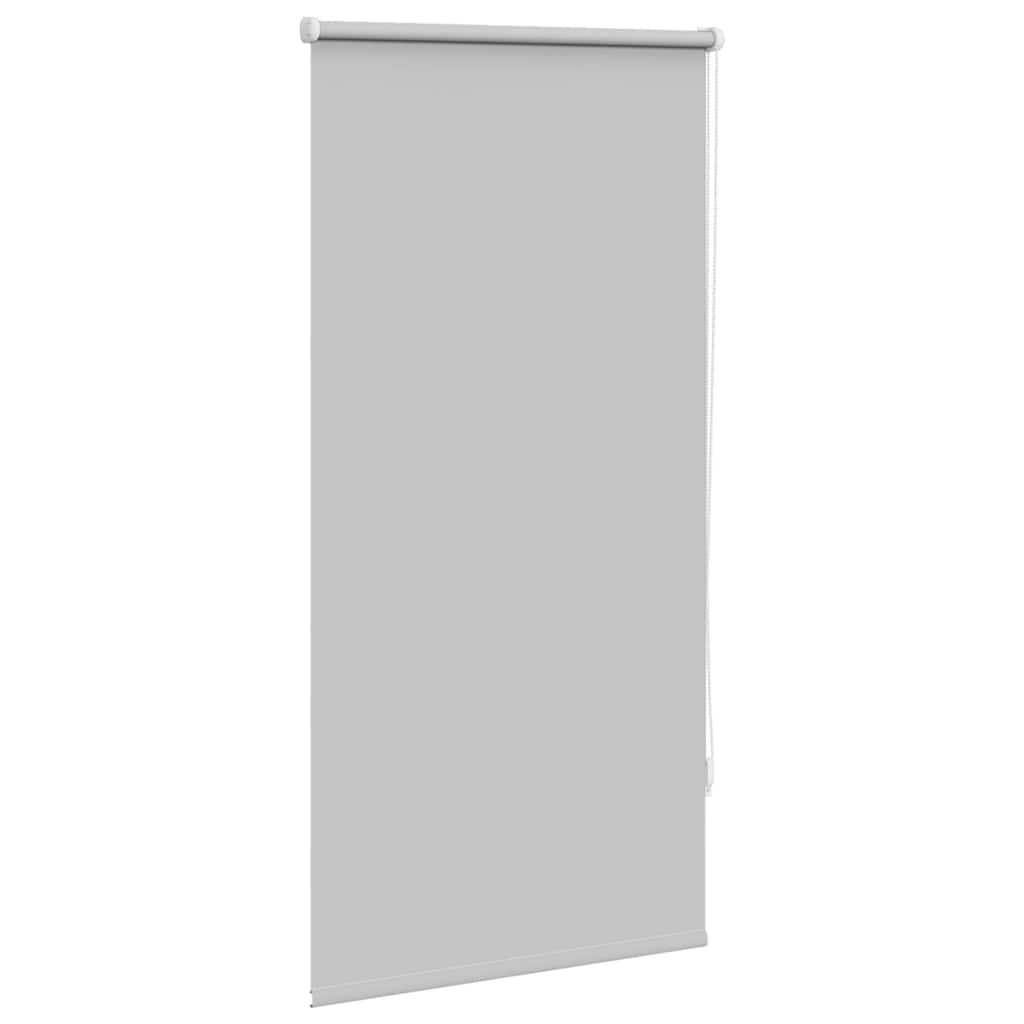 Vidaxl Roller Blind Damning 60 x 120 cm šedá