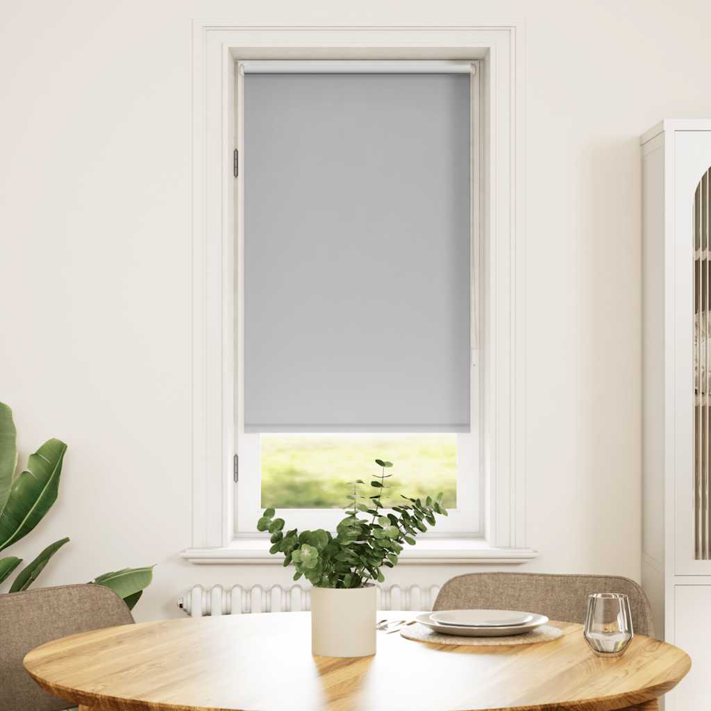 Vidaxl Roller Blind Damning 60 x 120 cm šedá