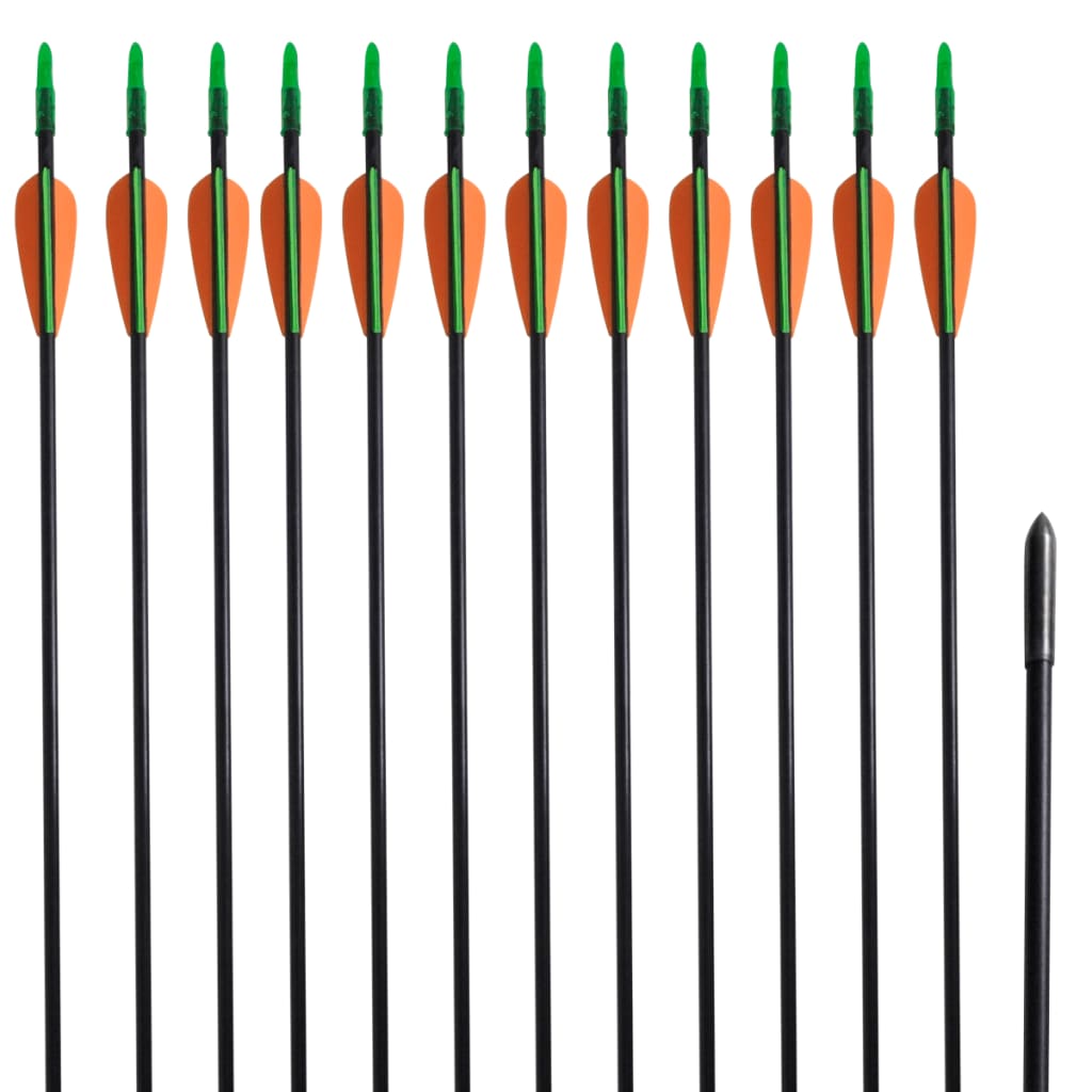 Vidaxl Recurveboog padrão com setas 30 0,6 cm de fibra óptica 12 peças