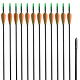 Vidaxl Recurveboog padrão com setas 30 0,6 cm de fibra óptica 12 peças