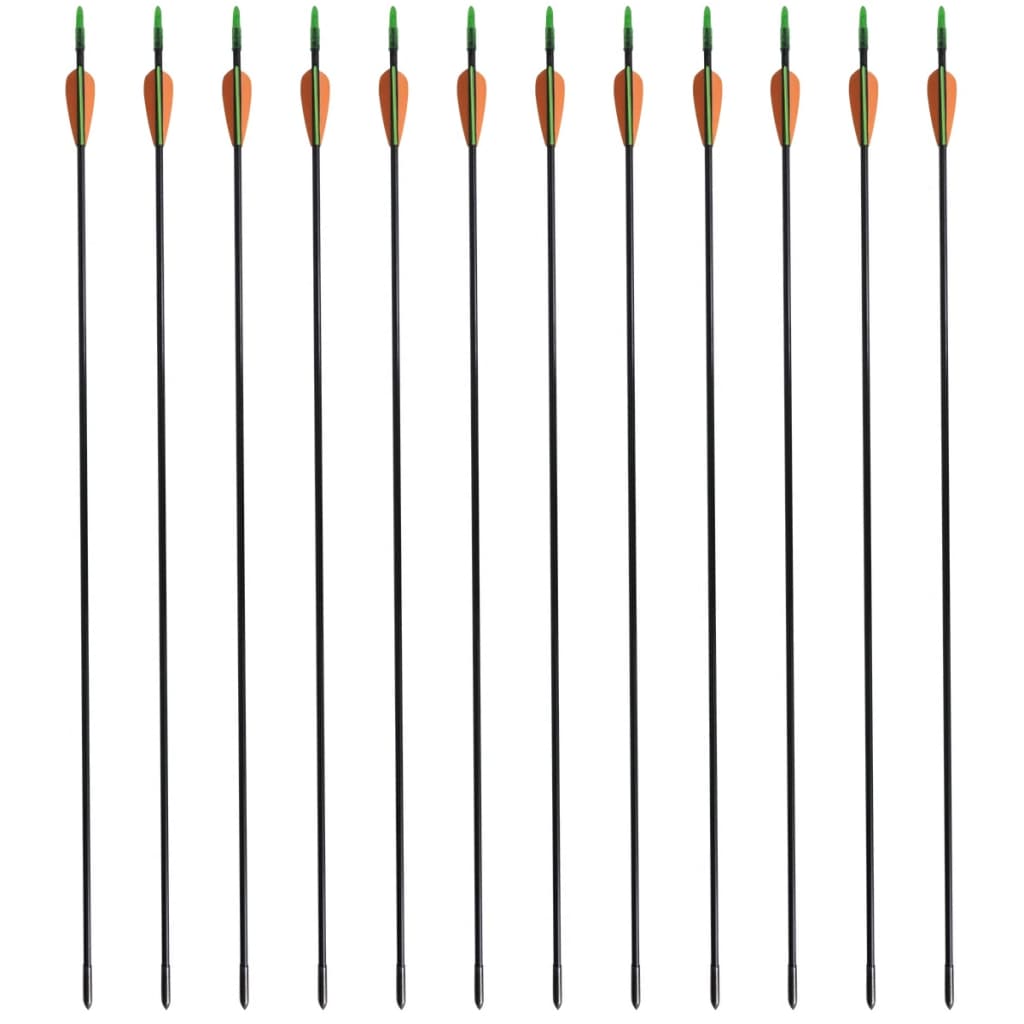Vidaxl Recurveboog padrão com setas 30 0,6 cm de fibra óptica 12 peças