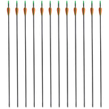 Vidaxl Recurveboog padrão com setas 30 0,6 cm de fibra óptica 12 peças