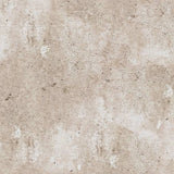 North wall Wallpaper Concrete Beige