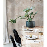 North wall Wallpaper Concrete Beige