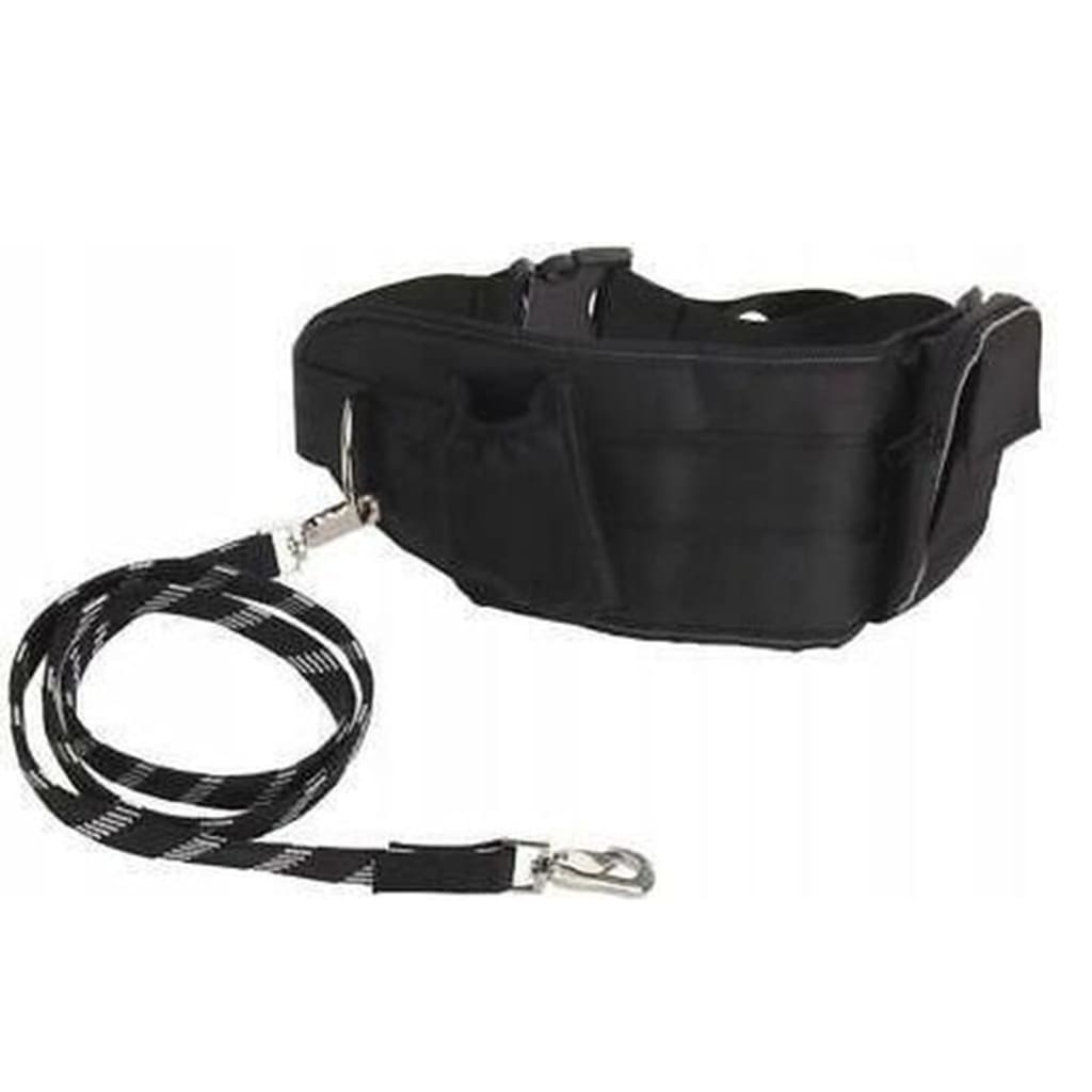Kolekce Pets Collection Sellation Line psí psí linka s hip pásem Groot Black