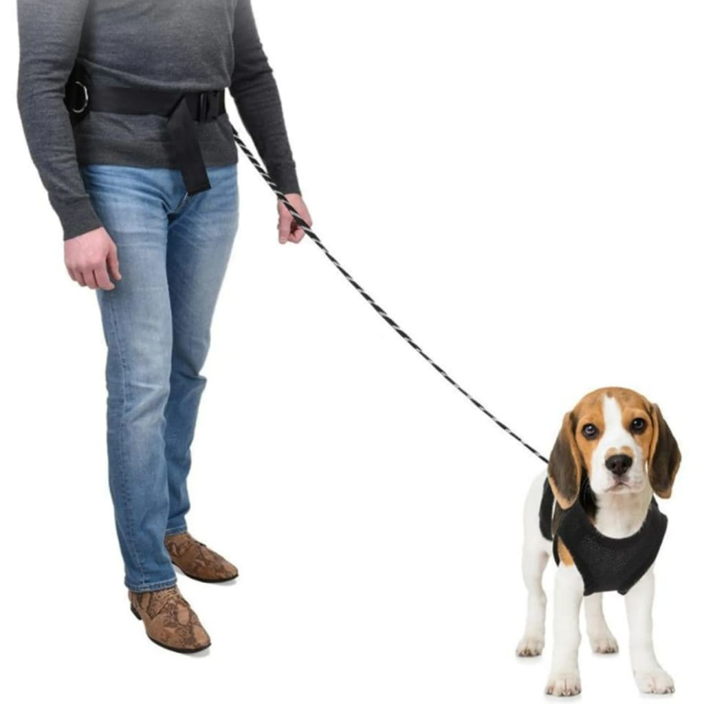 Kolekce Pets Collection Sellation Line psí psí linka s hip pásem Groot Black