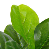 VidaXL artificial plant with pot Violet leaf plant 90 cm green