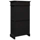 Armoire à chaussures Vidaxl 50x28x98 cm Paulowniahout noir