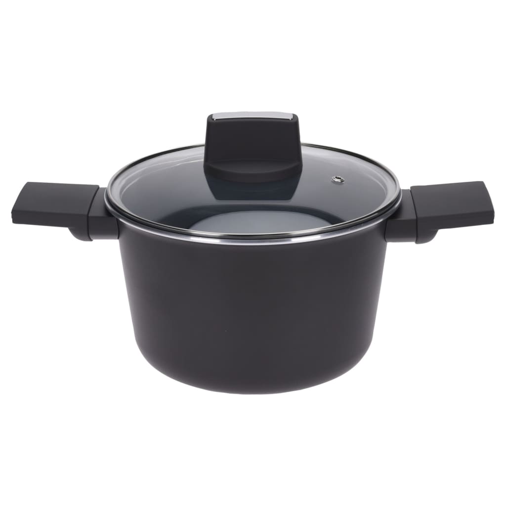 Eccellente Caseware Braadpan con coperchio 20 cm