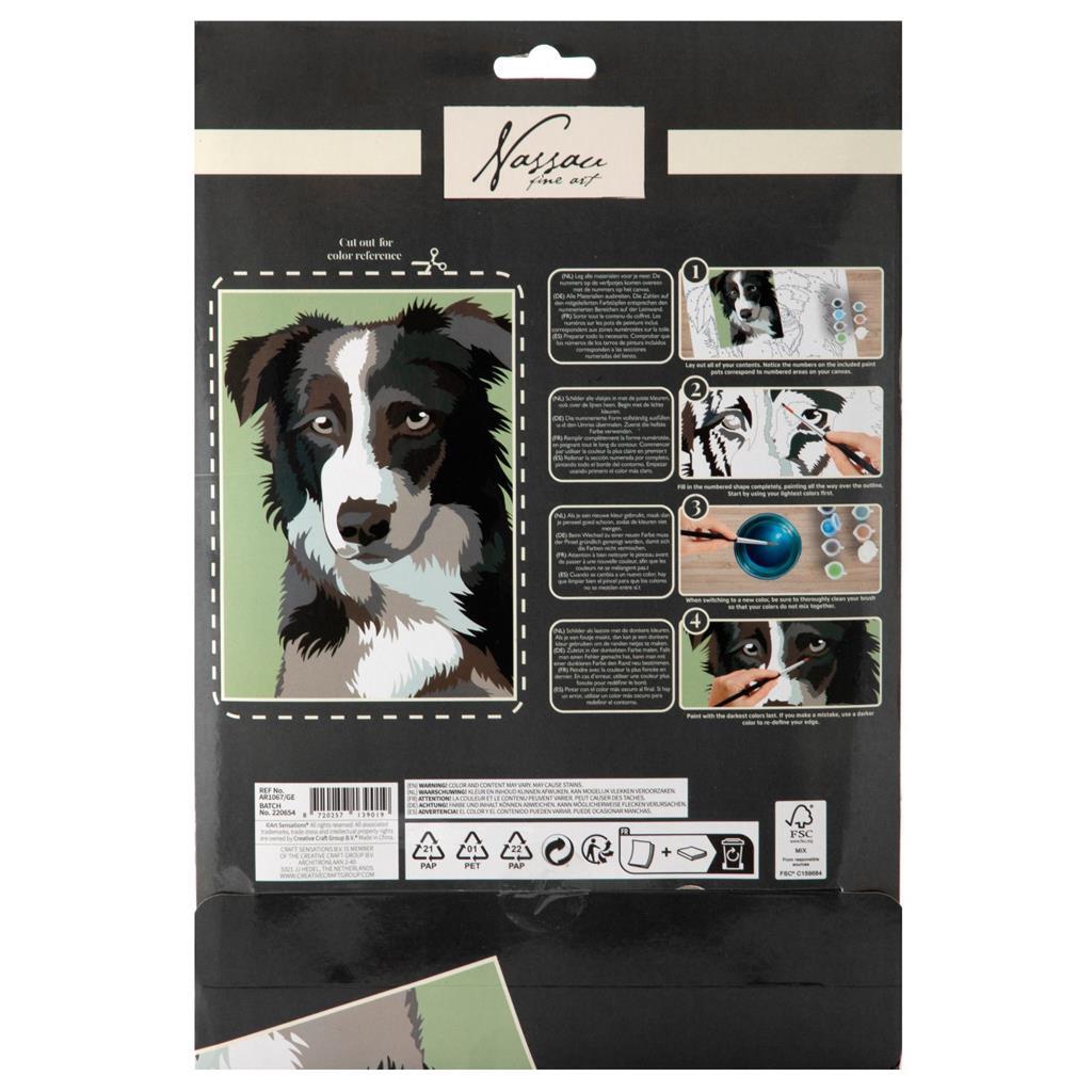 Nassau fine art paint by number dog